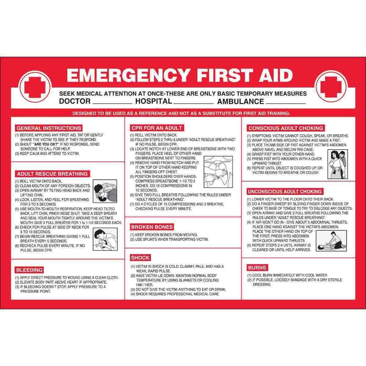 Brady® 105625 Laminated Rectangular Safety Wall Chart, English, [EMERGENCY FIRST AID], 20 in L x 29 in W