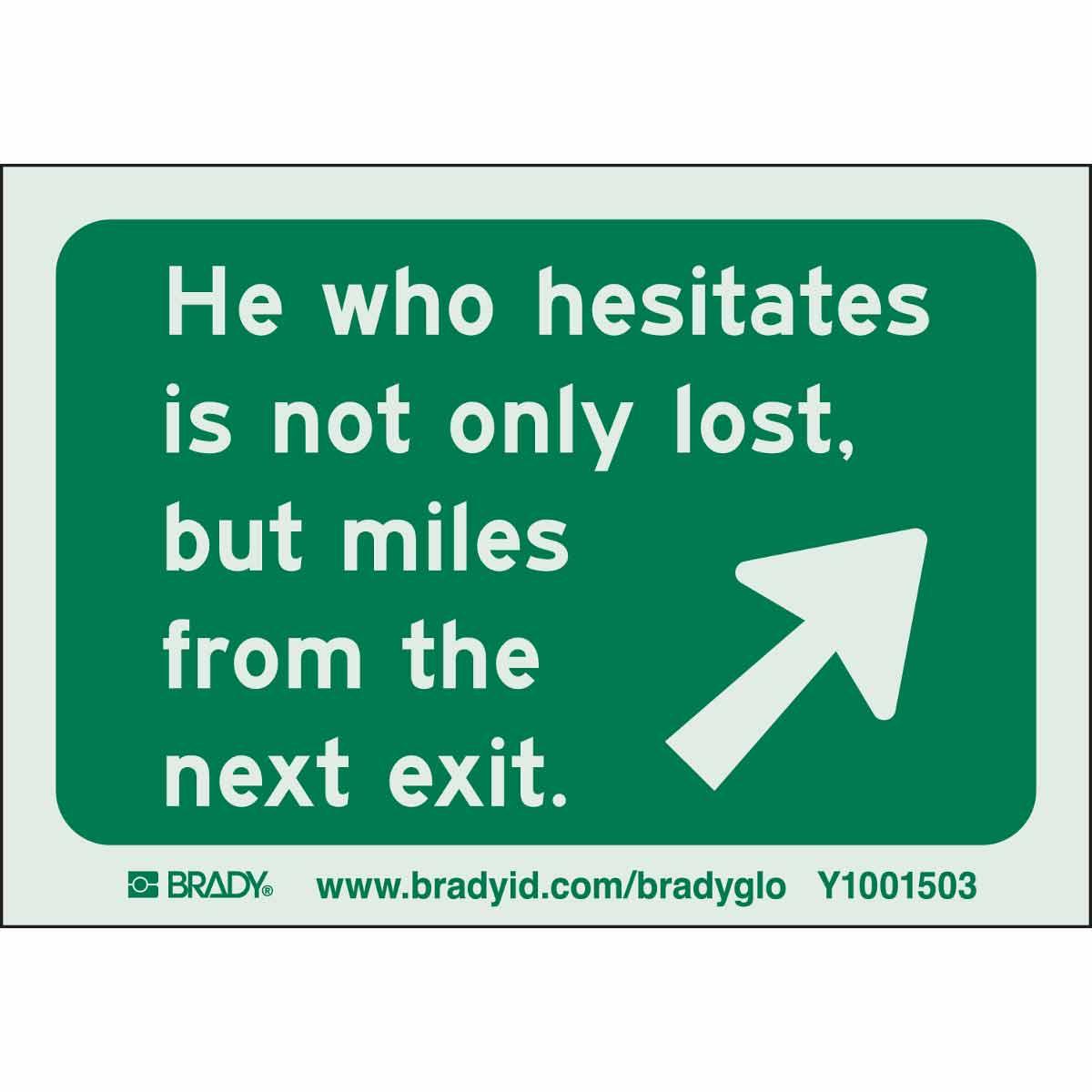 Brady® BradyGlo™ 114633 Acrylic Permanent Rectangular Funny Sign, Symbol/Text, B-324 Dark Polyester, Self-Adhesive Mount, 3-1/2 in H x 5 in W, Green on Glow, English