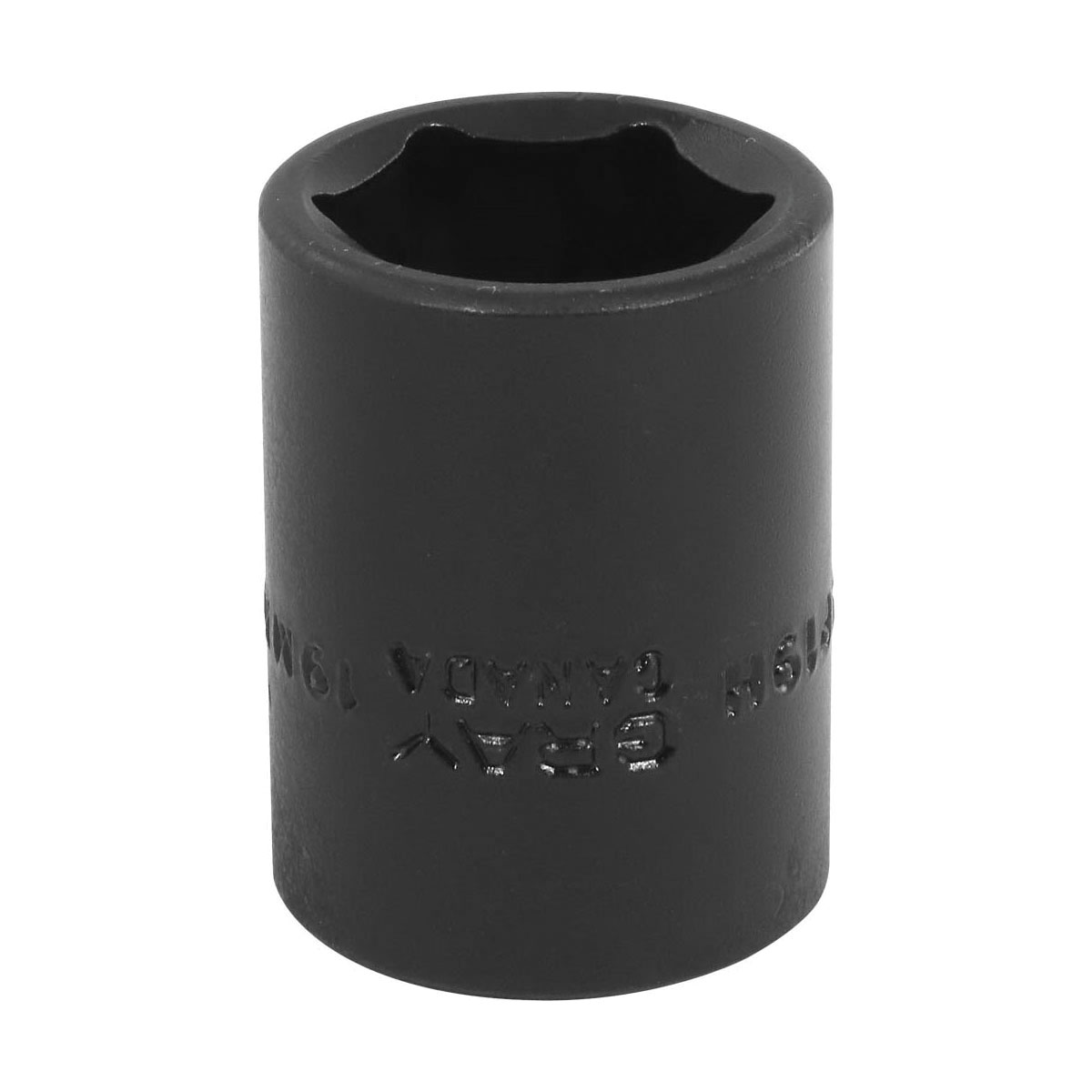 Gray Tools MP19H Standard Impact Socket, Metric, 1/2 in Square Drive, 19 mm Hex Socket, 6 Points