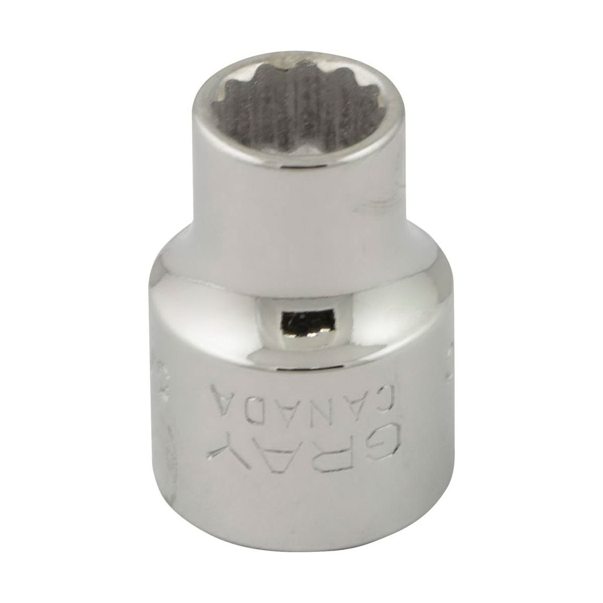 Gray Tools T10 Standard Socket, Imperial, 3/8 in, 5/16 in Hex Socket, 12 Points