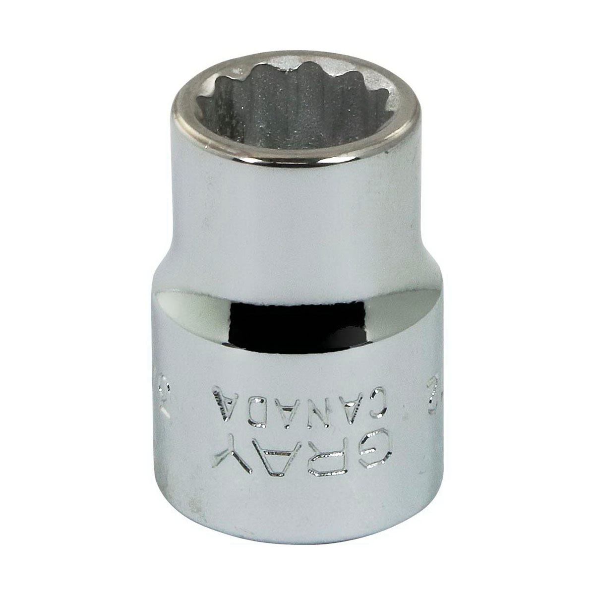 Gray Tools T12 Standard Socket, Imperial, 3/8 in, 3/8 in Hex Socket, 12 Points