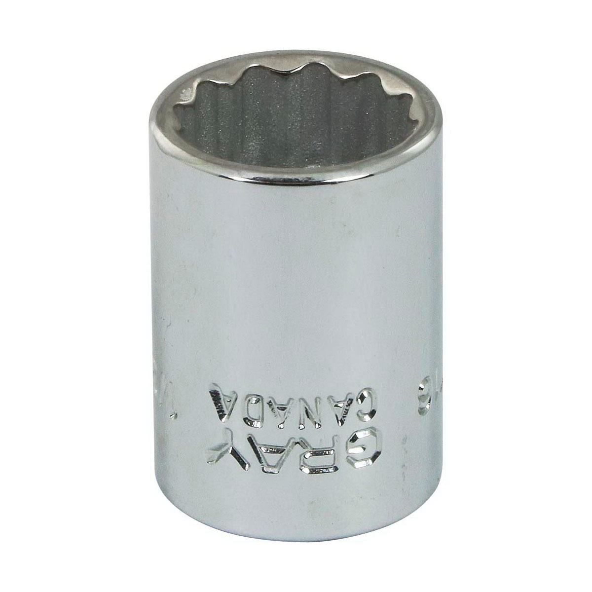 Gray Tools T16 Standard Socket, Imperial, 3/8 in, 1/2 in Hex Socket, 12 Points