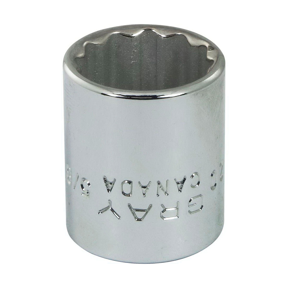 Gray Tools T20 Standard Socket, Imperial, 3/8 in, 5/8 in Hex Socket, 12 Points