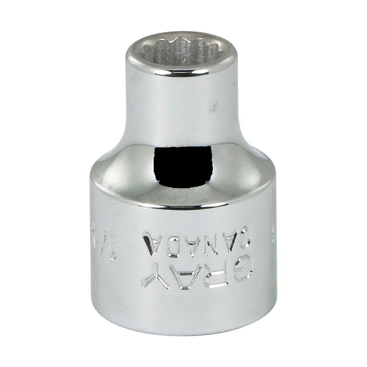 Gray Tools T8 Standard Socket, Imperial, 3/8 in, 1/4 in Hex Socket, 12 Points