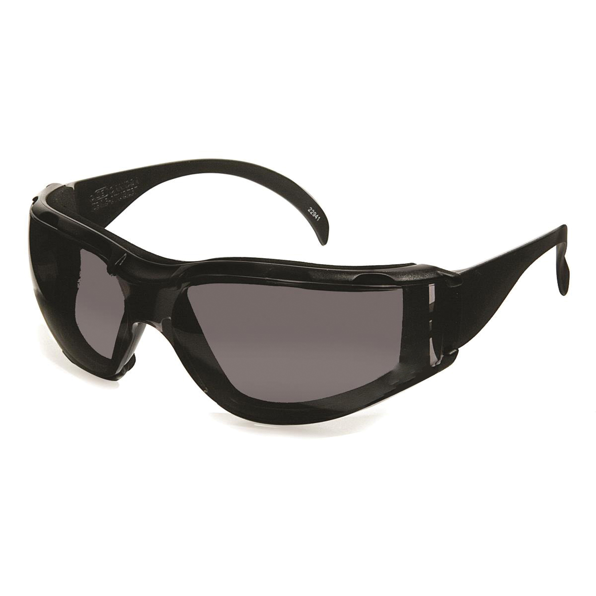 DENTEC SAFETY CeeTec™DX 12E93102DX Eyewear Lens With Foam Carrier, Anti-Fog/Scratch-Resistant, Polycarbonate Lens