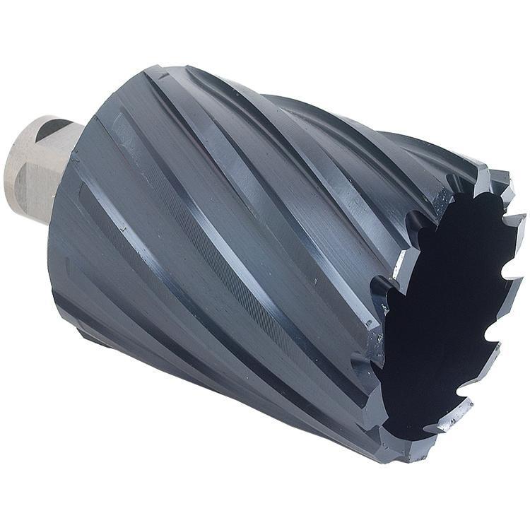 Walter Surface Technologies 05B310 Core Annular Cutter, 5/8 in Dia Cutter, 2 in D Cutting, AICrN Coated, Weldon Shank