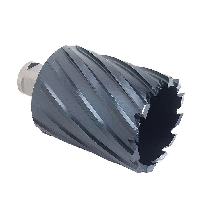 Walter Surface Technologies ICECUT™ 05B312 Annular Cutter, 3/4 in Dia Cutter, AICrN Coated, Weldon Shank