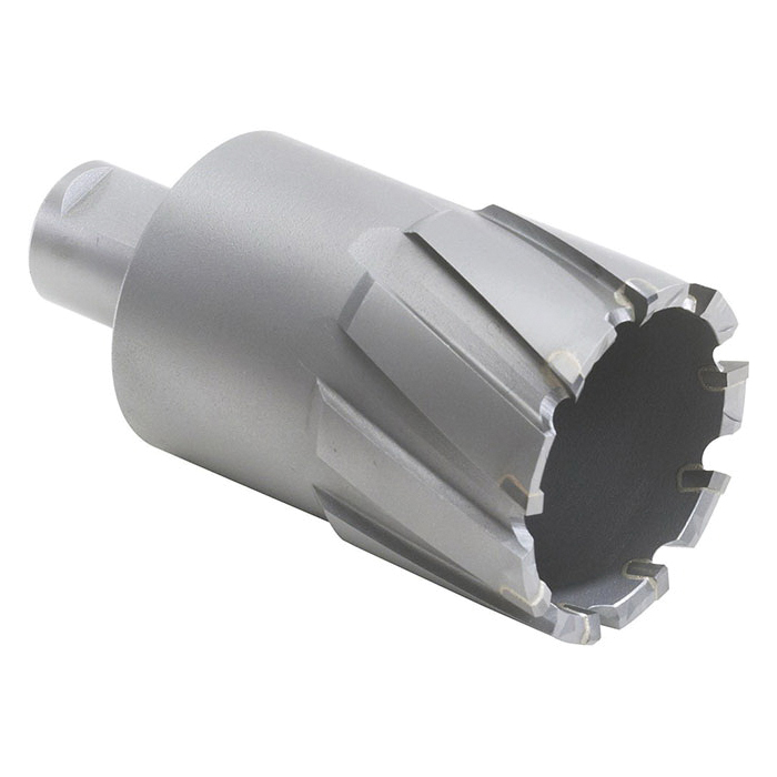 Walter Surface Technologies CORE CUT™ 05D508 Annular Cutter, 2-1/2 in Dia Cutter, HSS, Rough, Weldon Shank