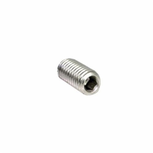 BBI 102172 Socket Set Screw, 1/4-20, 3/4 in L, Cup Point, Stainless Steel, A2 (18-8) Grade