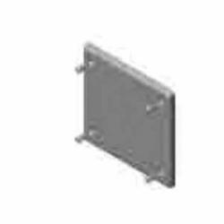 ROYAL® RBRC20-2 Cover Plate With Gasket, 2 Gangs, PVC