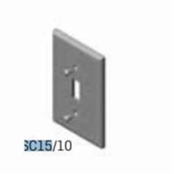 ROYAL® RTSC15-10 F Series 1-Outlet Cover Plate, 1 Gang, PVC