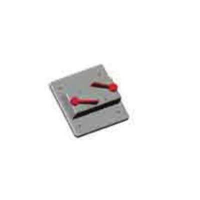 ROYAL® RVSC20-2 Double Toggle Weatherproof Cover Plate, 2 Gangs, PVC